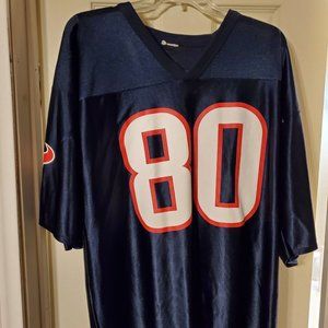Andre Johnson Jersey #80